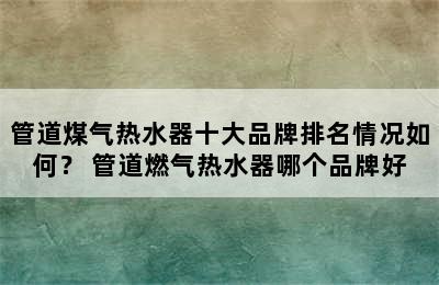 管道煤气热水器十大品牌排名情况如何？ 管道燃气热水器哪个品牌好